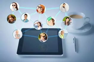 藍盟觀點 企業IT采購成本高？善用上海軟件代理與開發，這一招助您顯著降本增效